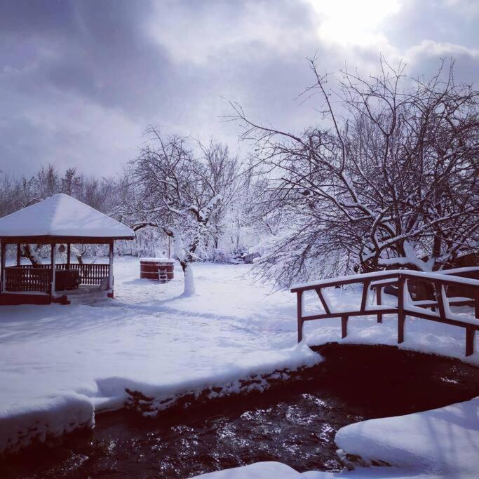 Horace Guesthouse Pool & Hot Tub & Bikes & River Dejani Luaran gambar