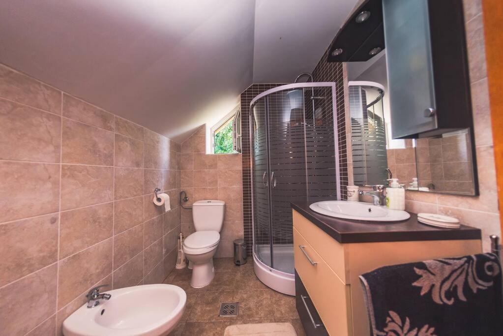 Horace Guesthouse Pool & Hot Tub & Bikes & River Dejani Luaran gambar