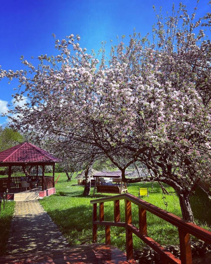 Horace Guesthouse Pool & Hot Tub & Bikes & River Dejani Luaran gambar